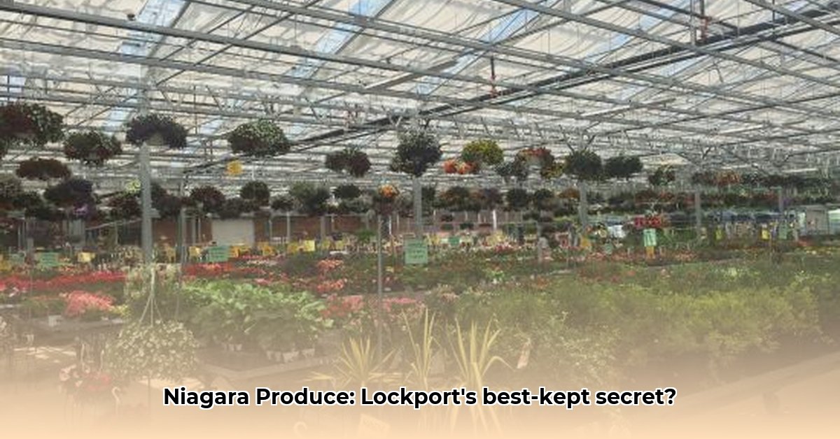 niagara-produce-of-lockport-lockport-ny